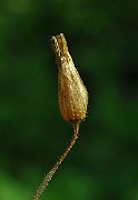 IMG_2855