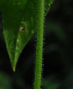 IMG_2857