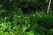 IMG_2859
