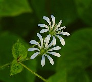 IMG_5944