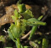 IMG_0892