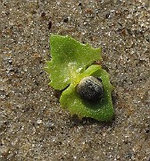 IMG_0893