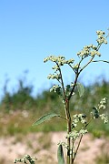 IMG_1759