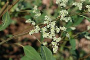 IMG_1762