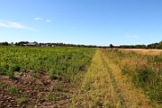 IMG_1767