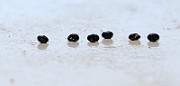 IMG_1773