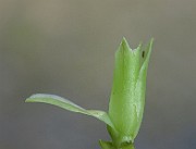 IMG_1809