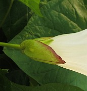 IMG_7088