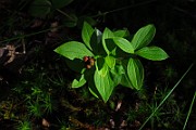IMG_2518