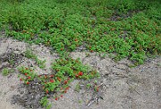 IMG_2579