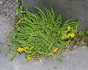 IMG_5813