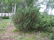 IMG_8330