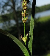 IMG_3797