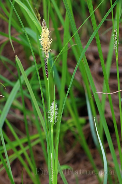 IMG_0013.JPG