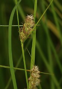 IMG_0022