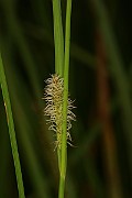 IMG_0023