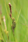IMG_0149