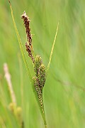 IMG_0150