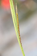 IMG_0598
