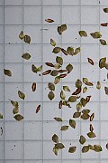 IMG_1507