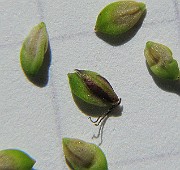 IMG_1705