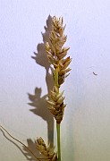IMG_9768
