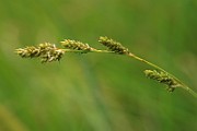 IMG_0139