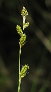 IMG_1648