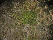 IMG_4129