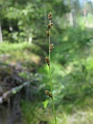 IMG_5532