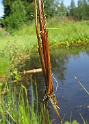 IMG_4165