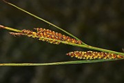 IMG_0465