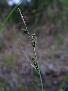 IMG_1784