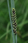 IMG_1785