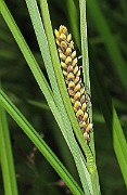 IMG_1792