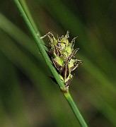 IMG_7202