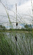 IMG_7206
