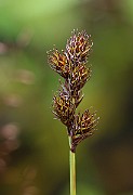 IMG_1031