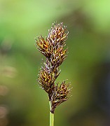 IMG_1032