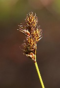IMG_1126