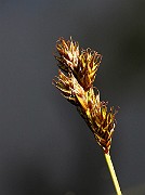 IMG_1127