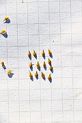 IMG_1356