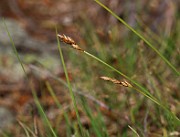 IMG_1483