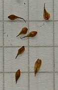 IMG_1537