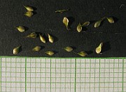 IMG_3740