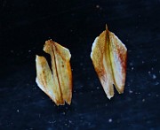 IMG_9731