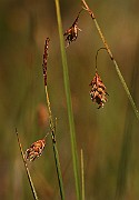 IMG_0054