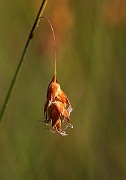 IMG_0056