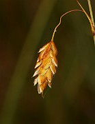 IMG_0493