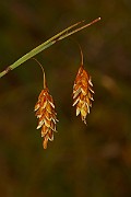 IMG_0496